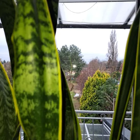 Pokój W Domu Z Oranżerią I śniadaniem