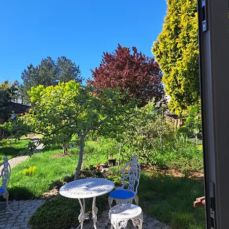 W Domu Z Oranzeria I Sniadaniem Розкішний намет Вроцлав