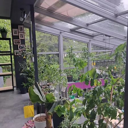 Pokój W Domu Z Oranżerią I śniadaniem