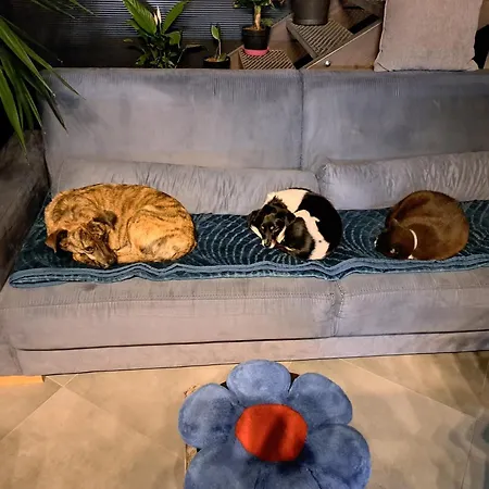 Campismo de Luxo Pokój W Domu Z Oranżerią I śniadaniem *