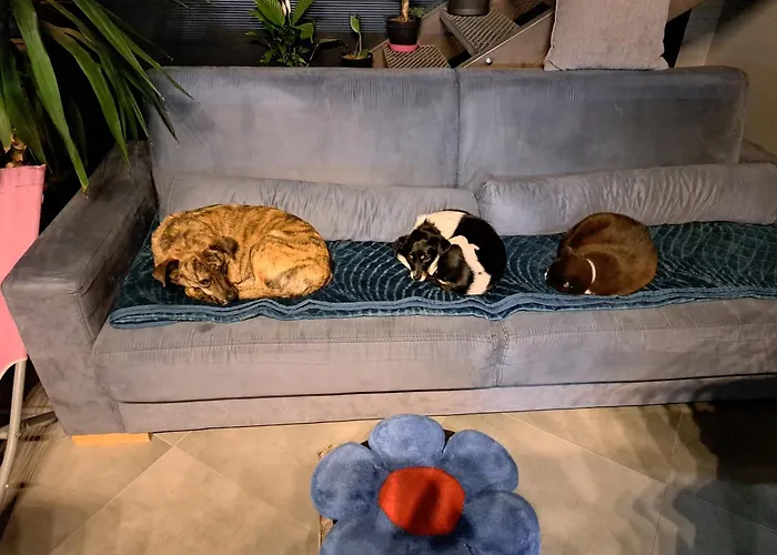 Розкішний намет W Domu Z Oranzeria I Sniadaniem *